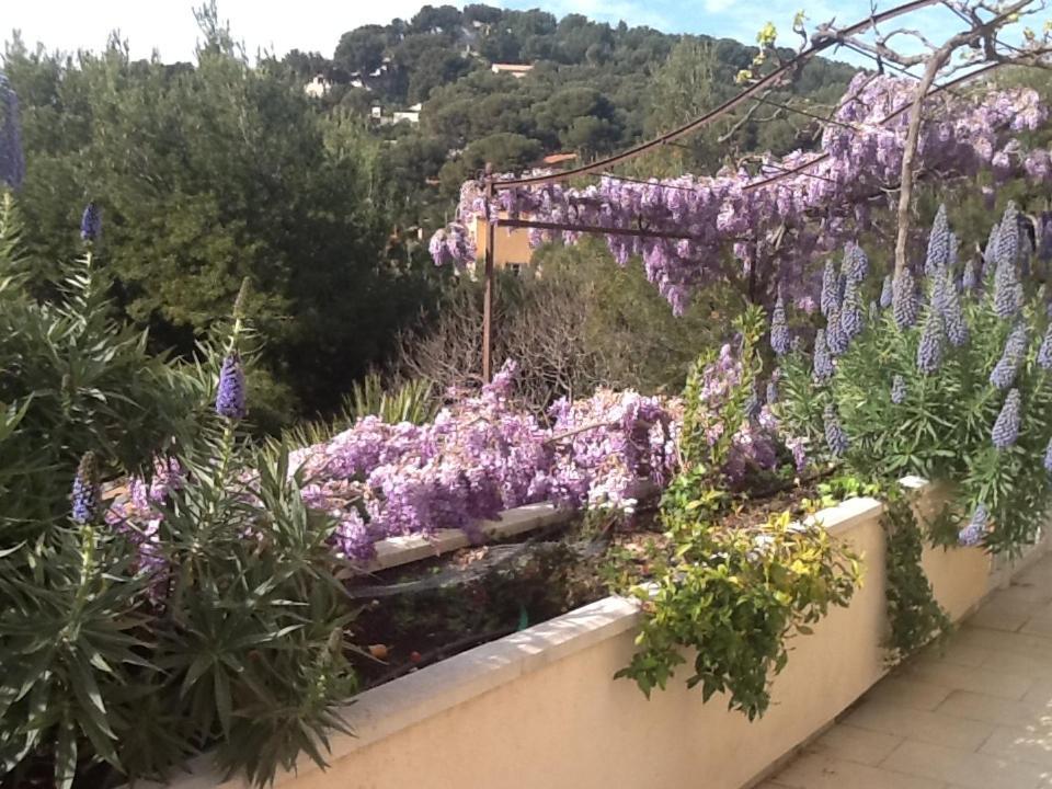 L'attalaya *
