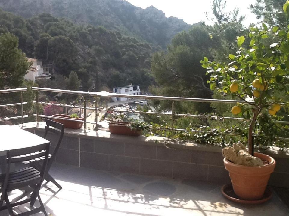 L'attalaya *